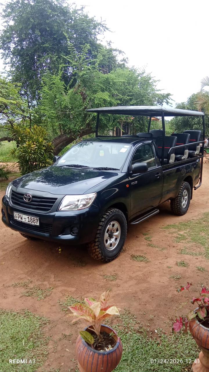 Wilpattu Best Safari Service